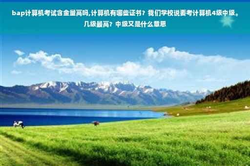 bap计算机考试含金量高吗,计算机有哪些证书？我们学校说要考计算机4级中级。几级最高？中级又是什么意思