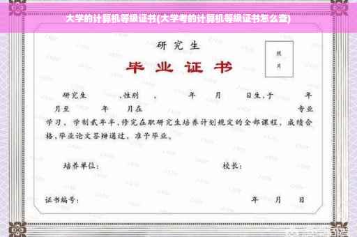 大学的计算机等级证书(大学考的计算机等级证书怎么查)