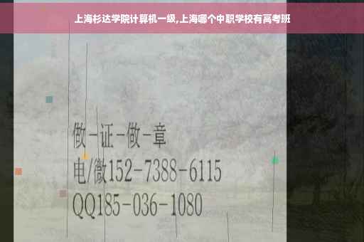 上海杉达学院计算机一级,上海哪个中职学校有高考班