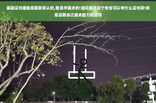 画画证书哪些是国家承认的,我是学美术的!请问美术这个专业可以考什么证书呀!就是证明自己美术能力的证书