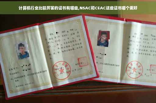计算机行业比较厉害的证书有哪些,NSAC和CEAC这些证书哪个更好