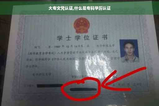 大专文凭认证,什么是专科学历认证