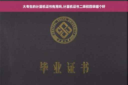 大专生的计算机证书有用吗,计算机证书二级和四级哪个好