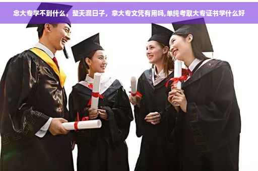 念大专学不到什么，整天混日子，拿大专文凭有用吗,单纯考取大专证书学什么好