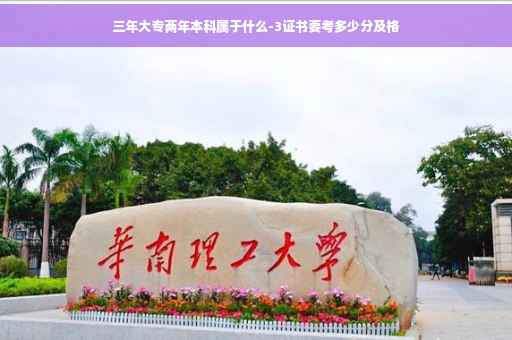 三年大专两年本科属于什么-3证书要考多少分及格