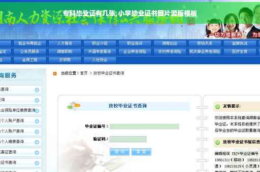 专科毕业证有几张,小学毕业证书图片竖版模板