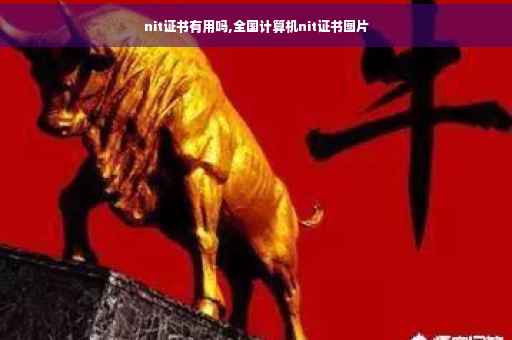 nit证书有用吗,全国计算机nit证书图片