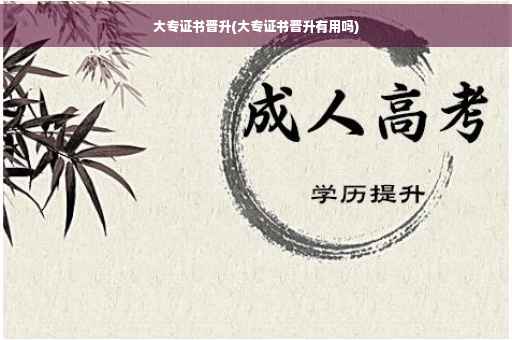 大专证书晋升(大专证书晋升有用吗)