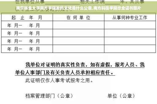 南京林业大学南方学院发的文凭是什么公章,南方科技学院毕业证书图片