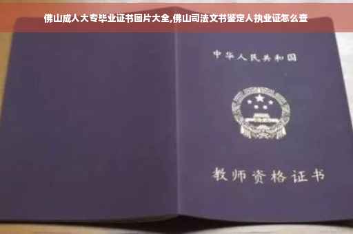 佛山成人大专毕业证书图片大全,佛山司法文书鉴定人执业证怎么查