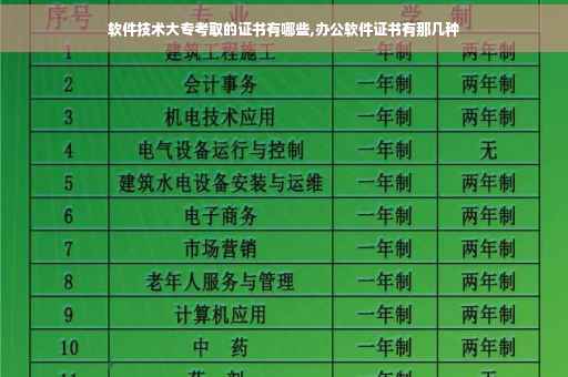 软件技术大专考取的证书有哪些,办公软件证书有那几种