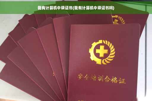 我有计算机中级证书(我有计算机中级证书吗)