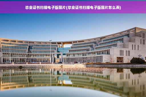 毕业证书扫描电子版图片(毕业证书扫描电子版图片怎么弄)