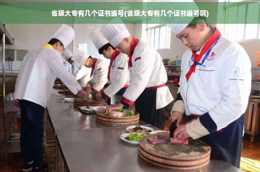 省级大专有几个证书编号(省级大专有几个证书编号啊)