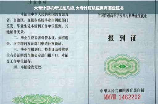 大专计算机考试是几级,大专计算机应用有哪些证书
