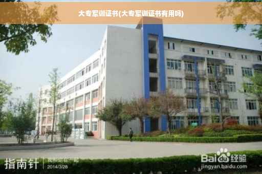 大专军训证书(大专军训证书有用吗)