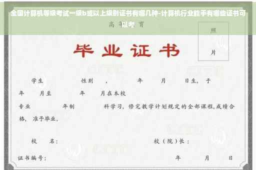 全国计算机等级考试一级b或以上级别证书有哪几种-计算机行业能手有哪些证书可以考