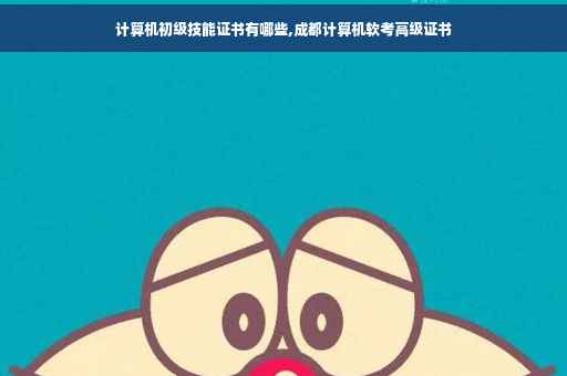 计算机初级技能证书有哪些,成都计算机软考高级证书