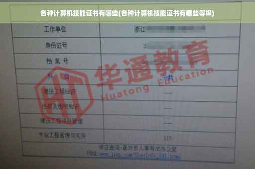各种计算机技能证书有哪些(各种计算机技能证书有哪些等级)