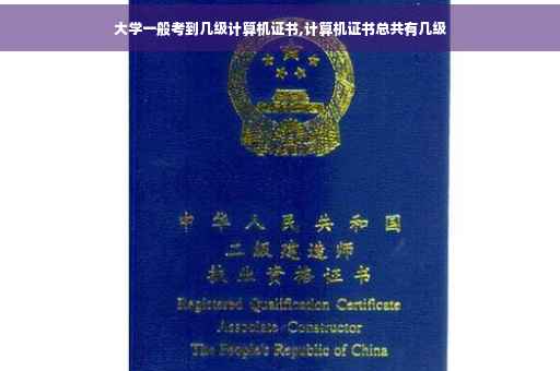大学一般考到几级计算机证书,计算机证书总共有几级