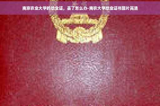 南京农业大学的毕业证，丢了怎么办-南农大学毕业证书图片高清
