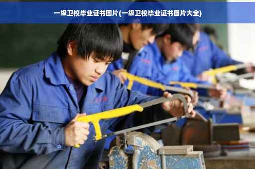 一级卫校毕业证书图片(一级卫校毕业证书图片大全)