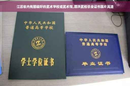 江苏省内有那些好的武术学校或武术馆,泗洪武校毕业证书图片高清