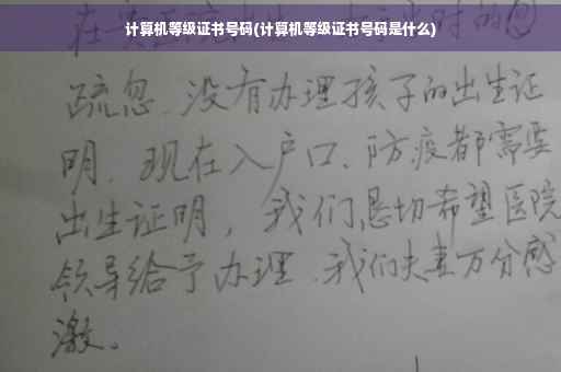 计算机等级证书号码(计算机等级证书号码是什么)