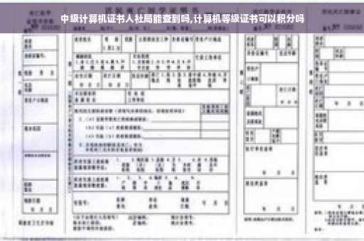 中级计算机证书人社局能查到吗,计算机等级证书可以积分吗