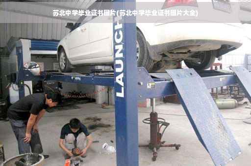 苏北中学毕业证书图片(苏北中学毕业证书图片大全)