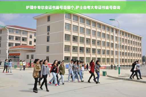 护理中专毕业证书编号是哪个,护士自考大专证书编号查询
