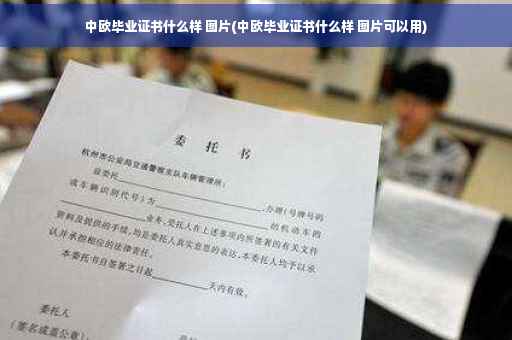 中欧毕业证书什么样 图片(中欧毕业证书什么样 图片可以用)