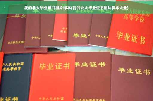 我的北大毕业证书图片样本(我的北大毕业证书图片样本大全)