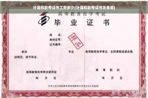 计算机软考证书工资多少(计算机软考证书含金量)