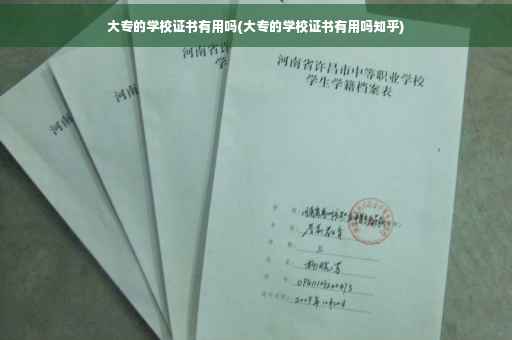 大专的学校证书有用吗(大专的学校证书有用吗知乎)