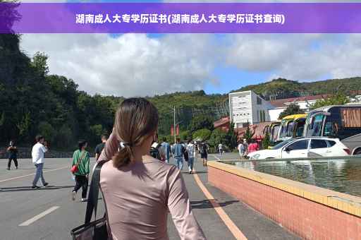 湖南成人大专学历证书(湖南成人大专学历证书查询)