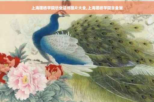 上海建桥学院毕业证书图片大全,上海建桥学院含金量