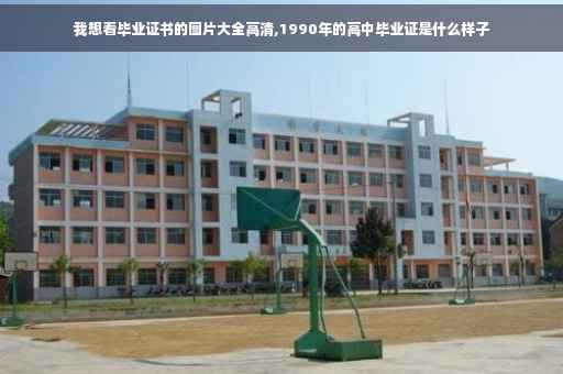 我想看毕业证书的图片大全高清,1990年的高中毕业证是什么样子