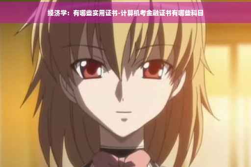 经济学：有哪些实用证书-计算机考金融证书有哪些科目