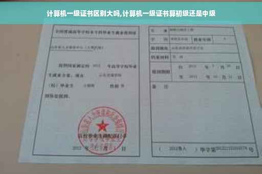 计算机一级证书区别大吗,计算机一级证书算初级还是中级