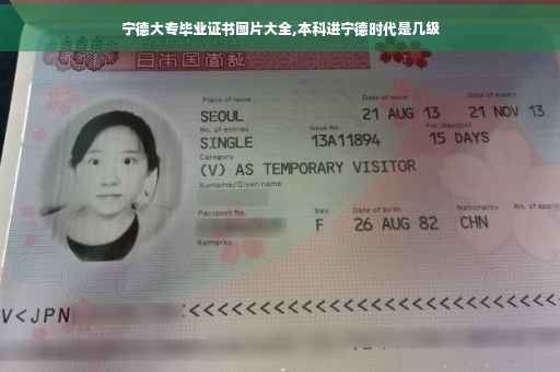宁德大专毕业证书图片大全,本科进宁德时代是几级
