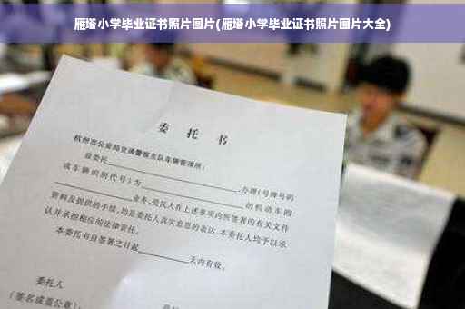 雁塔小学毕业证书照片图片(雁塔小学毕业证书照片图片大全)