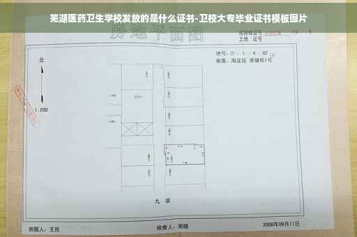 芜湖医药卫生学校发放的是什么证书-卫校大专毕业证书模板图片