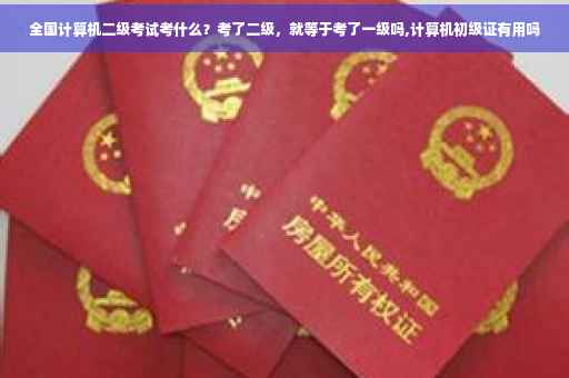 全国计算机二级考试考什么？考了二级，就等于考了一级吗,计算机初级证有用吗