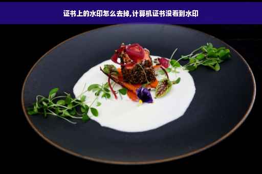 证书上的水印怎么去掉,计算机证书没看到水印