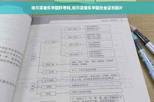 哈尔滨音乐学院好考吗,哈尔滨音乐学院毕业证书图片