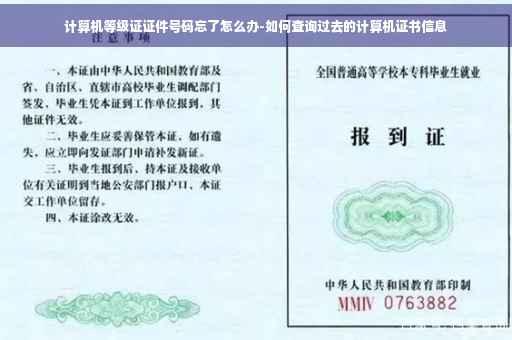 计算机等级证证件号码忘了怎么办-如何查询过去的计算机证书信息