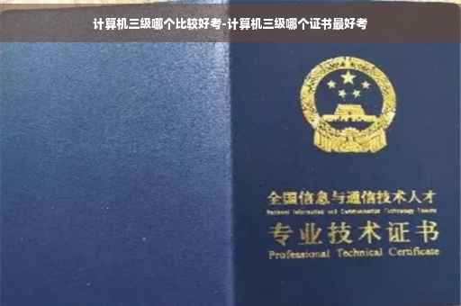 计算机三级哪个比较好考-计算机三级哪个证书最好考
