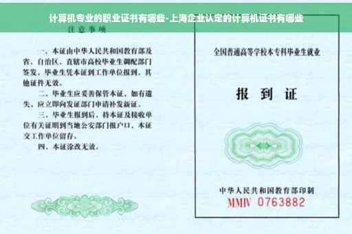 计算机专业的职业证书有哪些-上海企业认定的计算机证书有哪些