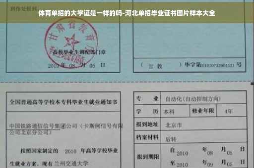 体育单招的大学证是一样的吗-河北单招毕业证书图片样本大全
